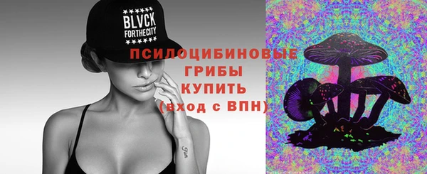 шишки Кулебаки