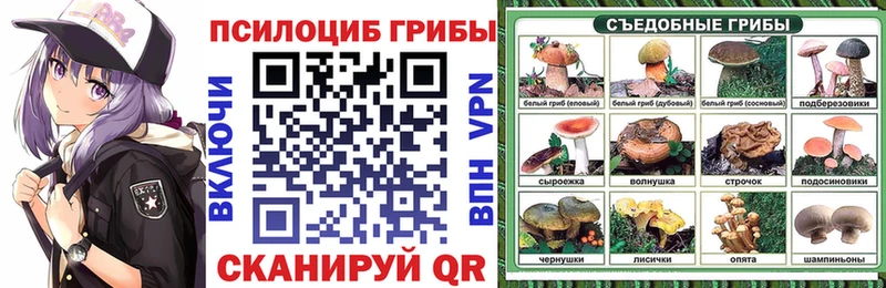 Галлюциногенные грибы GOLDEN TEACHER  Купить  Гусев 