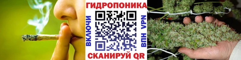 Купить закладки  Гусев  Шишки марихуана Ganja 